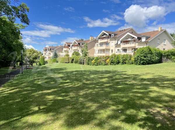 SUPERBE APPARTEMENT DE 7 PIECES DE 300 m2 AVEC LARGE TERRASSE -+ 3 BALCONS ET VUE DEGAGEE 3