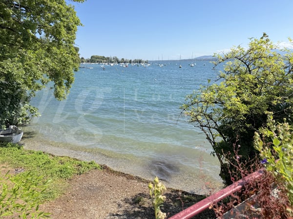 PIED DANS L'EAU !!!! TRES BELLE MAISON RENOVEE AVEC LARGE TERRASSE - VUE LAC, PONTON ET PLACE BATEAU 3