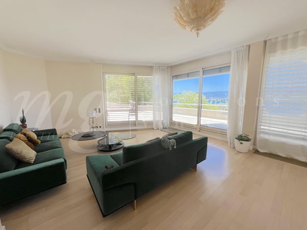 MAISON MODERNE DE 400 m2 hab - VUE PANORAMIQUE A 180 SUR LE LAC - PISCINE - ASCENSEUR 5