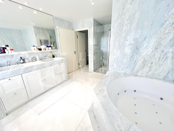 MAGNIFIQUE APPARTEMENT DE 7 PIECES DE 251 m2 PPE AVEC LARGE TERRASSE ET VUE DEGAGEE VERDURE 13
