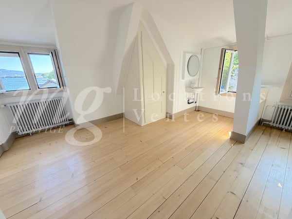 PIED DANS L'EAU !!!! TRES BELLE MAISON RENOVEE AVEC LARGE TERRASSE - VUE LAC, PONTON ET PLACE BATEAU 12