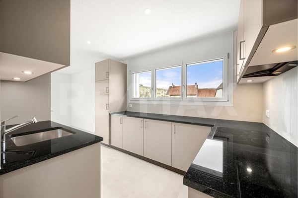 Charmant 4,5 pièces premier propriétaire, terrasse et luminosité optimale 10