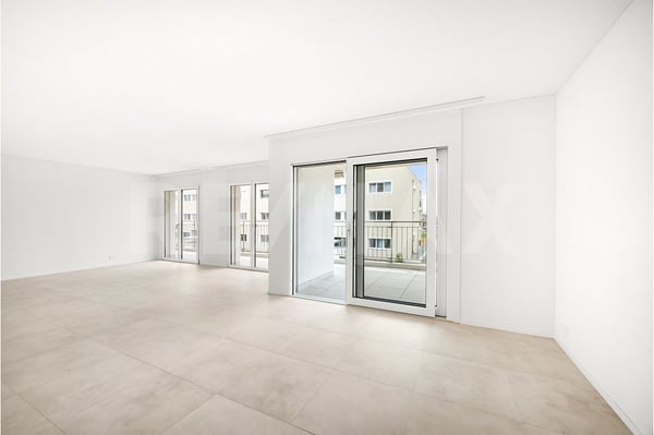 Charmant 4,5 pièces premier propriétaire, terrasse et luminosité optimale 13