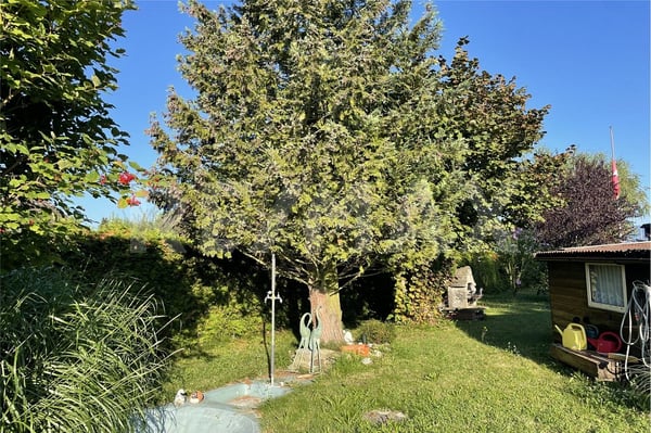 Parcelle de loisirs en zone caravaning  Emplacement idéal au sud du lac de Neuchâtel 3