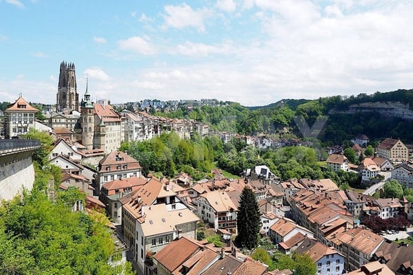 Opportunité rare à Fribourg : Café, Lounge & Restaurant clé en main 3
