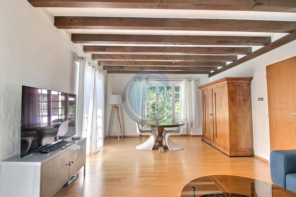 CHARMANT IMMEUBLE COMPOSÉ DE DEUX APPARTEMENTS 8