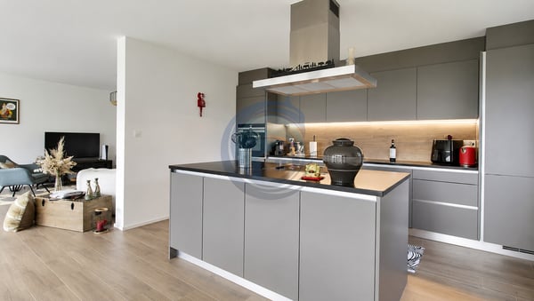 Spacieux Appartement de 4.5 Pièces en Rez-de-Jardin 3