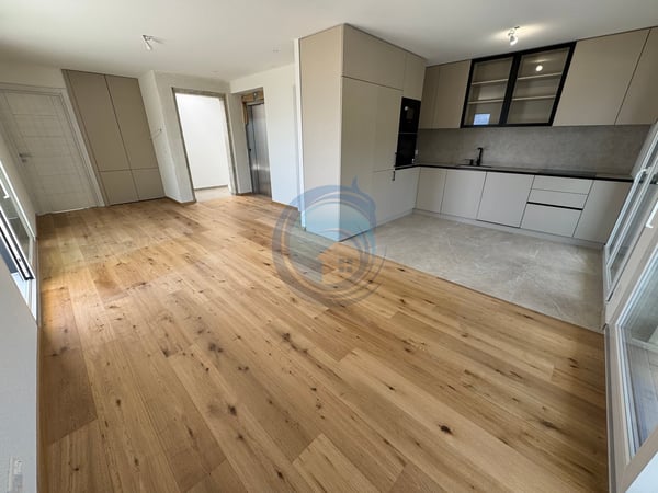 APPARTEMENT DE 2,5 PIÈCES EN ATTIQUE AVEC VUE PANORAMIQUE SUR LE LAC 2