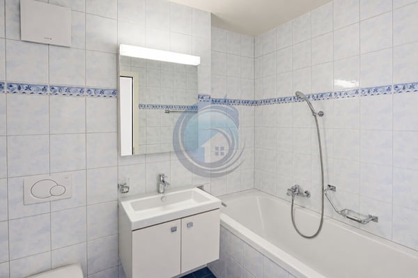 MAGNIFIQUE APPARTEMENT DE 3,5 PIÈCES AU COEUR DE BLONAY 10
