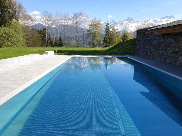 Magnifique appartement en duplex de 6.5 pièces avec SPA et piscine 3