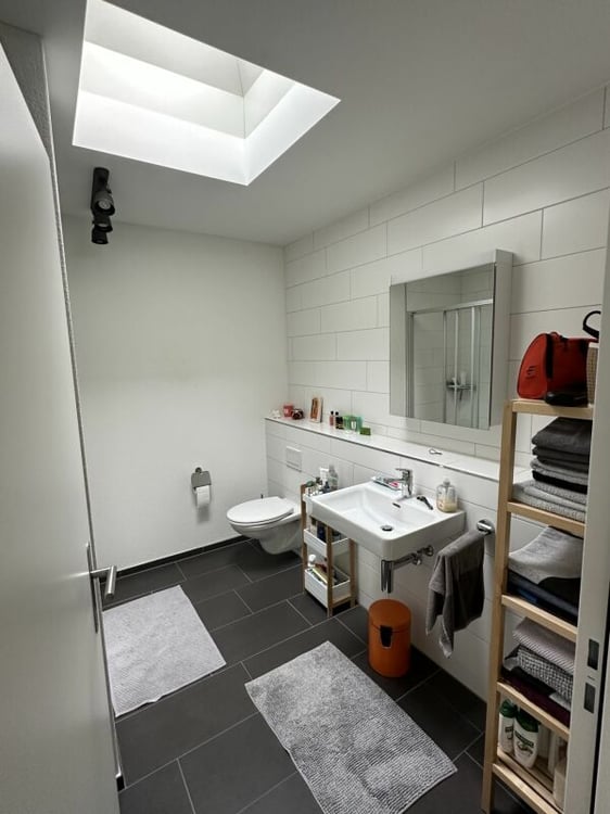 Traumhafte Attikawohnung in Scherzingen 6