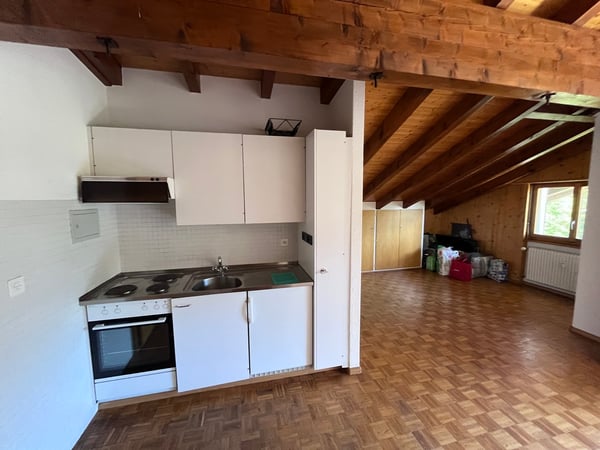 Petit-Vallon B, studio, combles 4