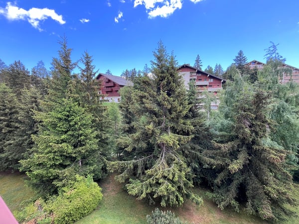 Petit-Vallon B, studio, combles 9