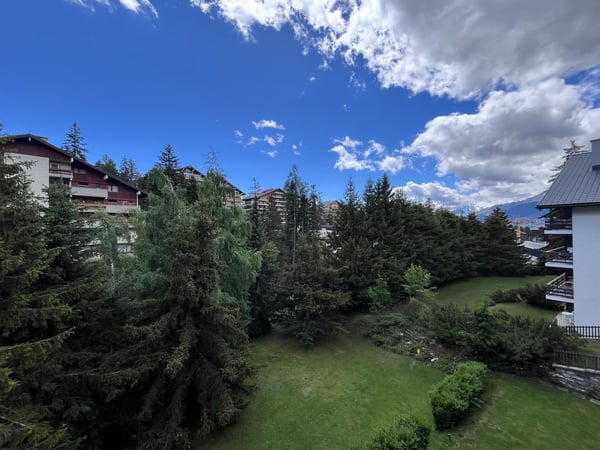 Petit-Vallon B, studio, combles 10