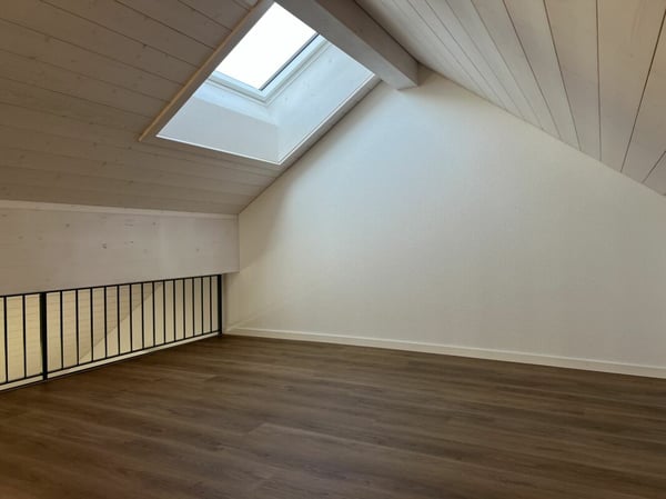 4.5-Zimmerwohnungen im Dachgeschoss mit zusätzlicher Galerie 11