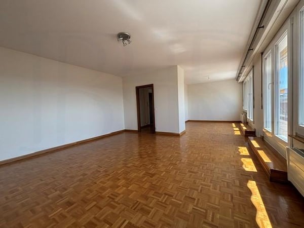 LE GRAND-SACONNEX - Appartement de 6 pièces en attique 4
