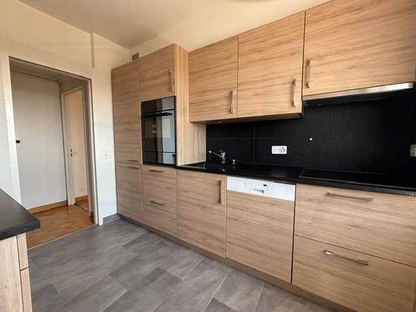 LE GRAND-SACONNEX - Appartement de 6 pièces en attique 9
