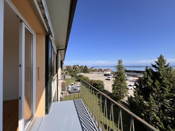 Appartement rénové avec magnifique vue sur le lac et les Alpes 3