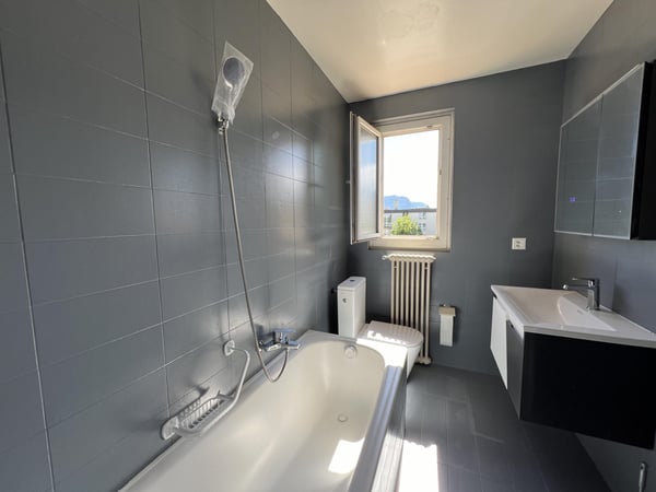 Appartement rénové avec magnifique vue sur le lac et les Alpes 6