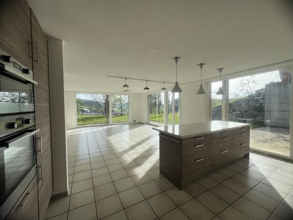 Belle villa terrasse contemporaine avec jardin orienté sud-ouest 3