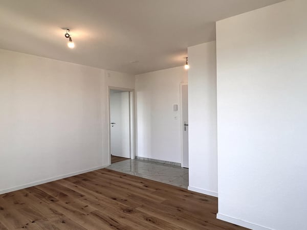 Appartement entièrement rénové avec vue sur le lac et les Alpes 7