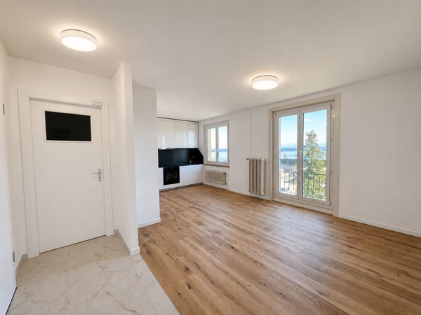 Appartement entièrement rénové avec vue sur le lac et les Alpes 1