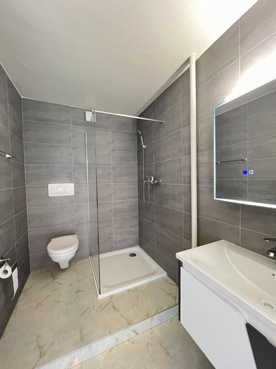 Appartement entièrement rénové avec vue sur le lac et les Alpes 3