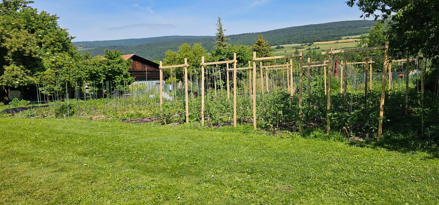 vegetable garden, wooden frames for climbing plants, green grass, mountains in the background