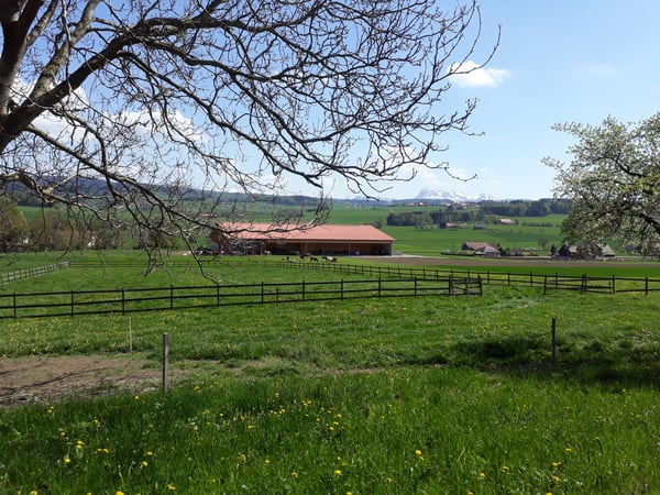 LUSSY-PRÈS-ROMONT - ROUTE DU VILLAGE 21 - BEAU 1.5 PIÈCES AU 3
