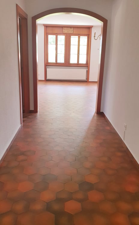 LUSSY-PRÈS-ROMONT - ROUTE DU VILLAGE 21 - BEAU 1.5 PIÈCES AU 5