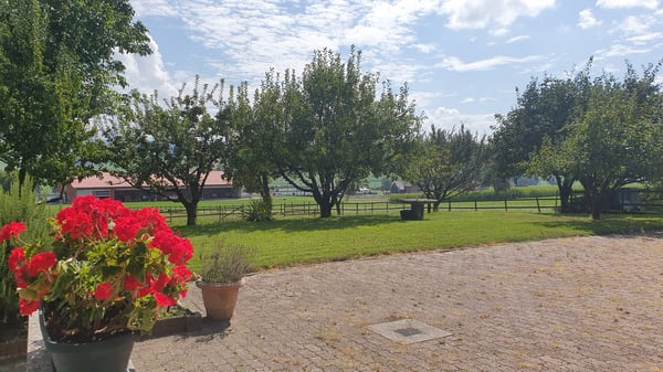 LUSSY-PRÈS-ROMONT - ROUTE DU VILLAGE 21 - BEAU 1.5 PIÈCES AU 2