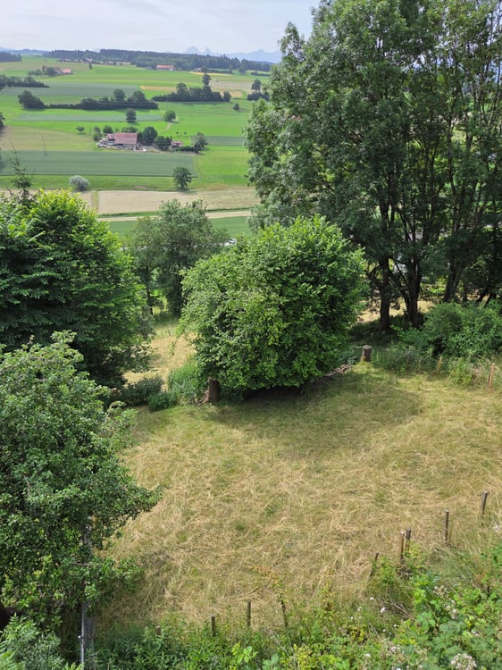 ROMONT - RTE DE L'EGLISE - RAVISSANT IMMEUBLE AVEC TERRAIN SEPARE 5