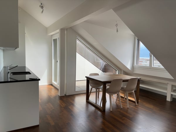 Magnifique appartement en attique moderne avec balcon - Sous gare - Vue sur le lac et ville 5