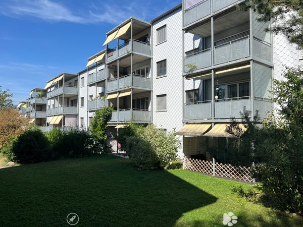 Helle und moderne Wohnung in ruhigem Quartier 2