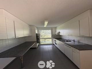 Helle und moderne Wohnung in ruhigem Quartier 4