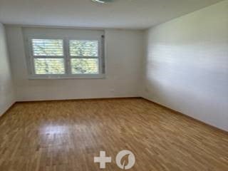 Helle und moderne Wohnung in ruhigem Quartier 7