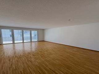 Helle und moderne Wohnung in ruhigem Quartier 10