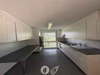 Helle und moderne Wohnung in ruhigem Quartier 4