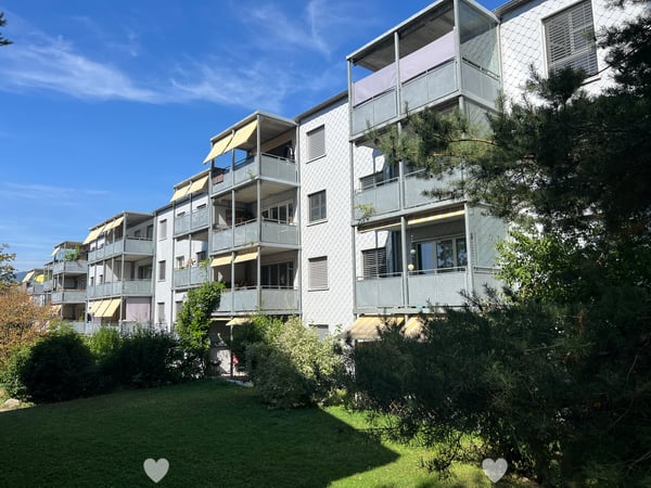 Helle 4½-Zimmerwohnung / appartement lumineux de 4½ pièces 1