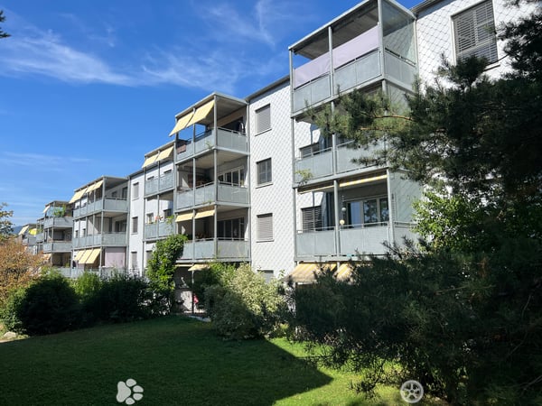 Helle 4½-Zimmerwohnung / appartement lumineux de 4½ pièces 1