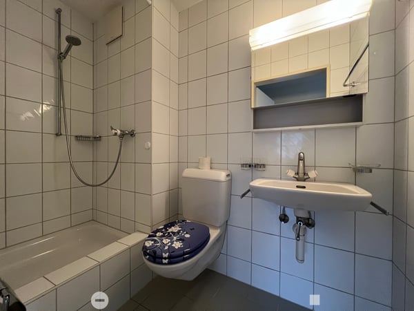 Helle 5.5-Zimmerwohnung / App. 5.5 pièce lumineux 5