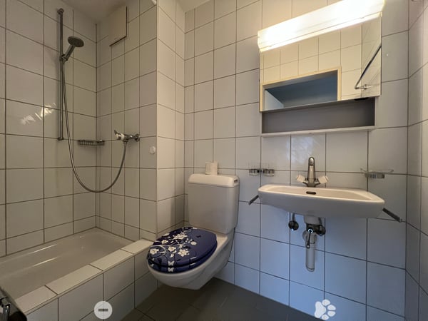 Helle 4.5-Zimmerwohnung / App. 4.5 pièce lumineux 5
