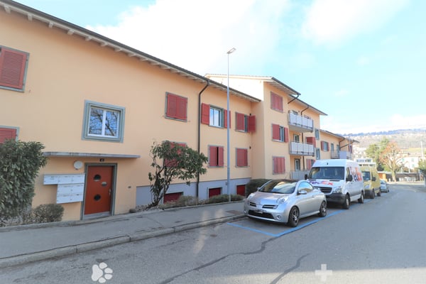 Frisch sanierte 3-Zimmerwohnung im Lindenquartier 1