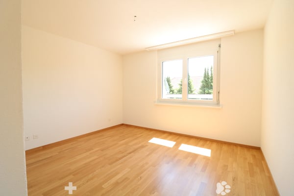 2.5- Zi-Attikawohnung grosser Terrasse / App. attique de 2,5 pièce 5
