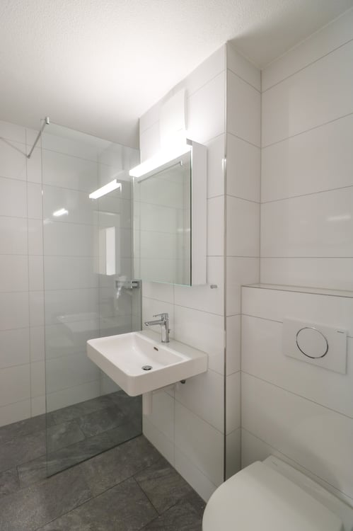 App. 3.5 pièces rez-de-chaussée / 3.5-Zimmerwohnung im Hochparterre 2