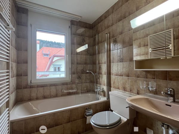 Attika mit exklusiver Terrasse / Attique avec terrasse exclusive 7