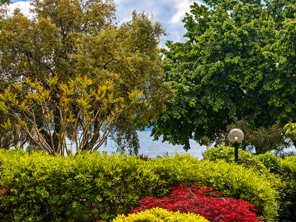 Exclusif : Somptueux appartement au bord du lac à Montreux 4