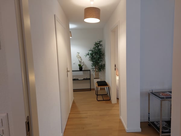 Appartement de 1.5 pièces au rez supérieur 5