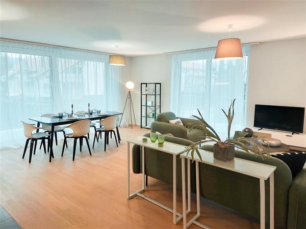 Appartement de 1.5 pièces au rez supérieur 2