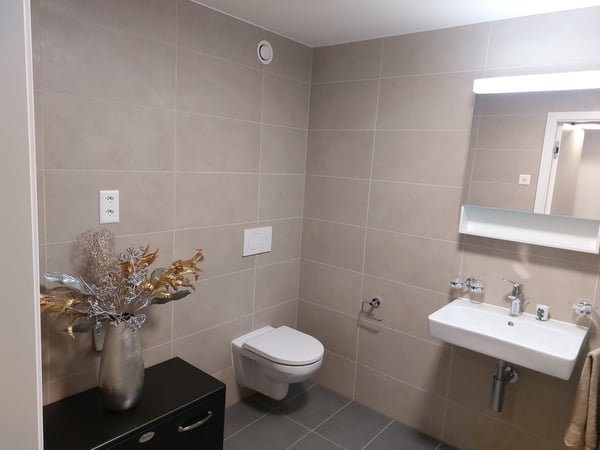 Appartement de 1.5 pièces au rez supérieur 6